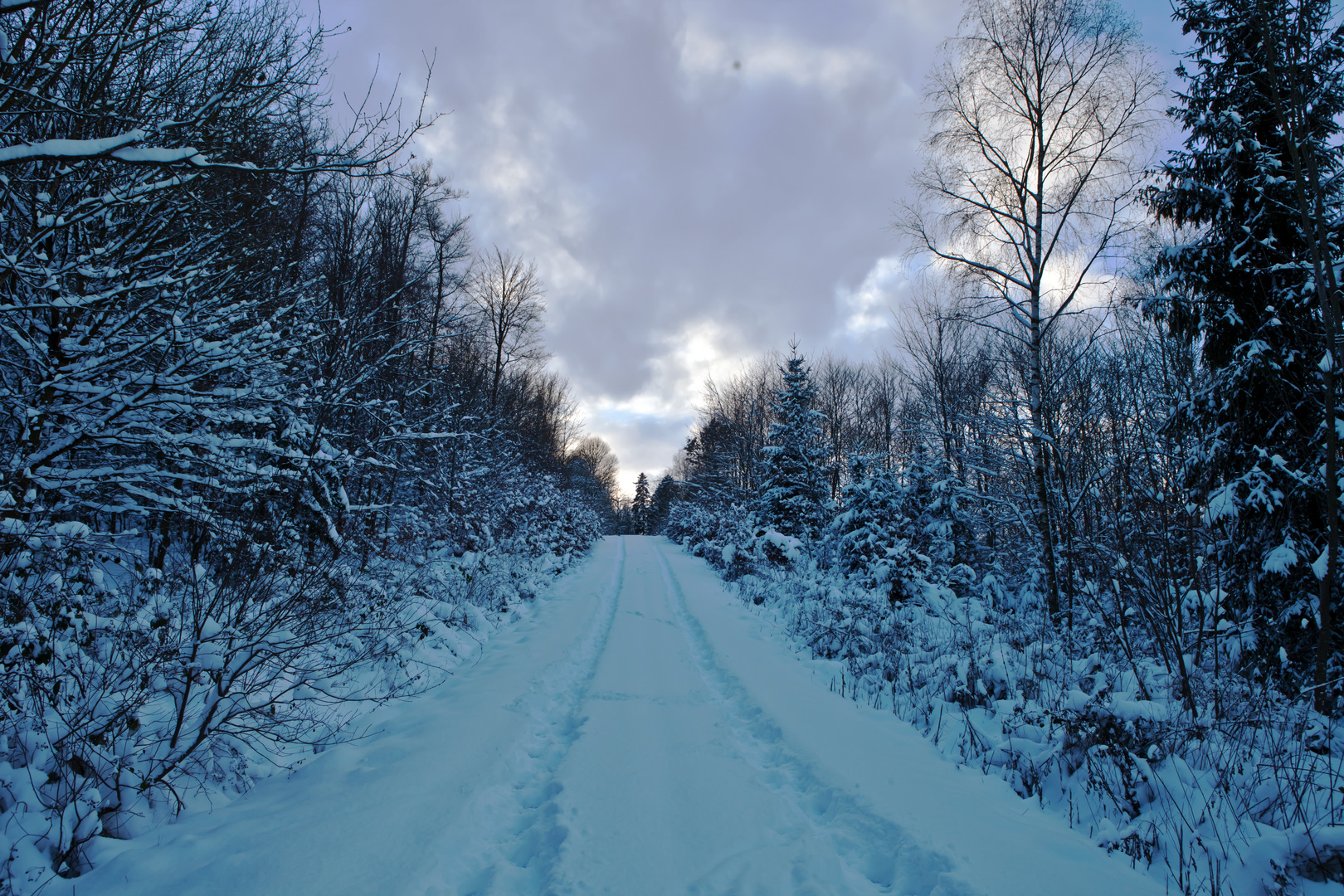 Winterabend Im Burgbergwald Foto Bild Jahreszeiten Winter Landschaften Bilder Auf Fotocommunity