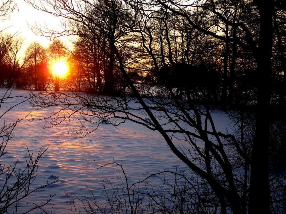 Winterabend im Erlengrund