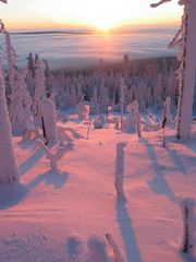 winterabend im fichtelgebirge