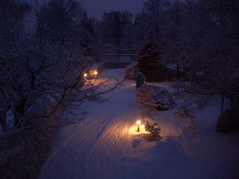 Winterabend im Garten