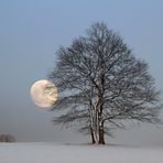 Winterabend im Hochsauerland