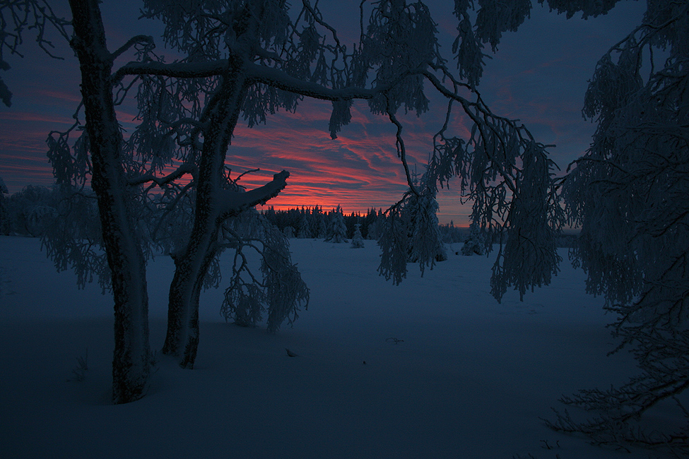 Winterabend im Hohen Venn