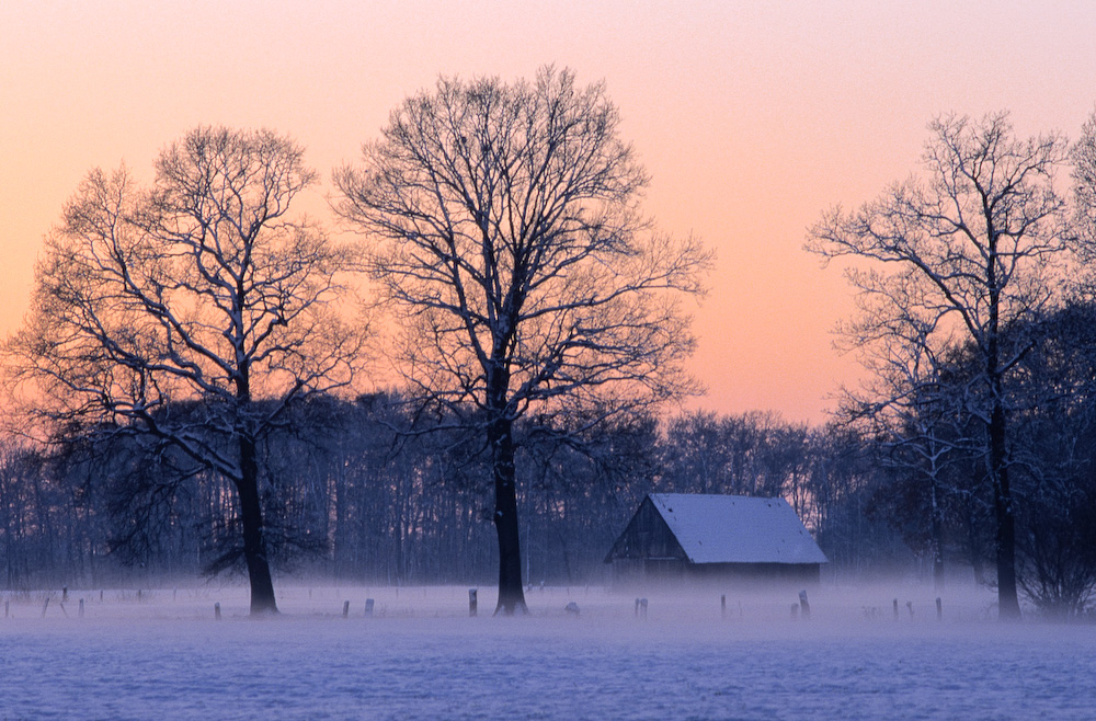 Winterabend im Münsterland