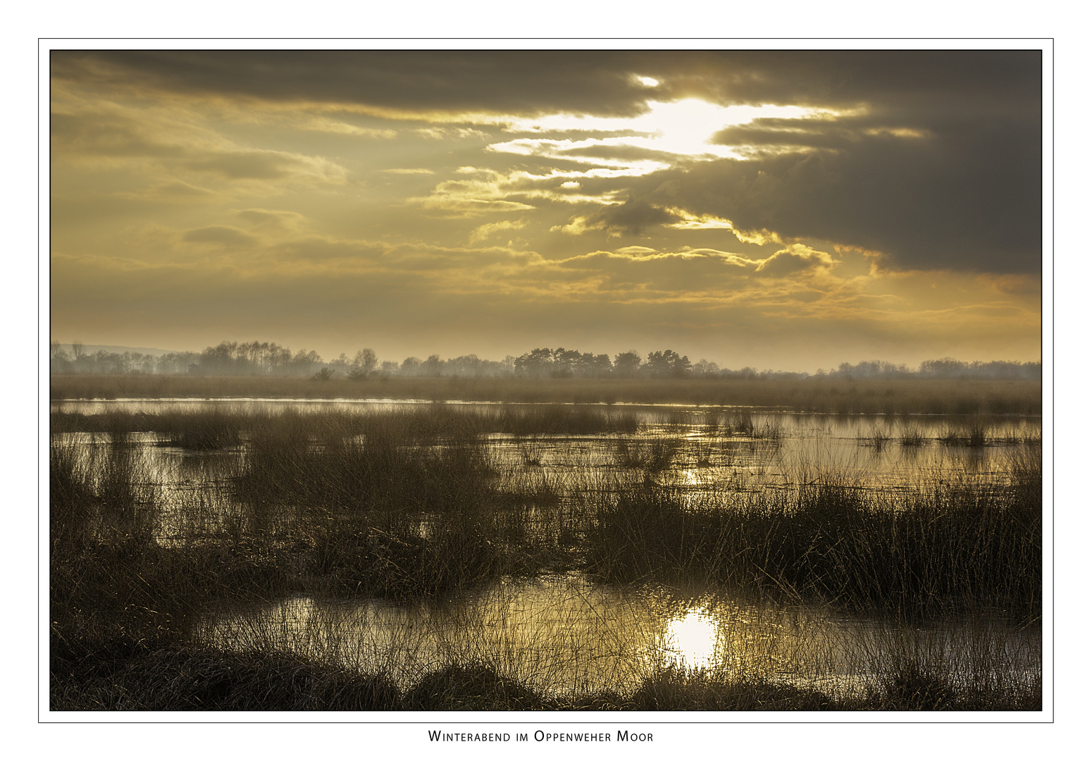 Winterabend im Oppenweher Moor