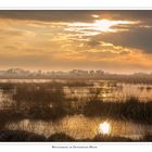 Winterabend im Oppenweher Moor