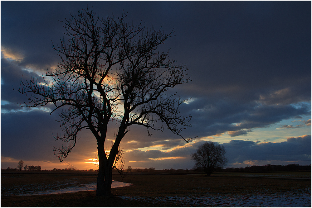 Winterabend im Ried