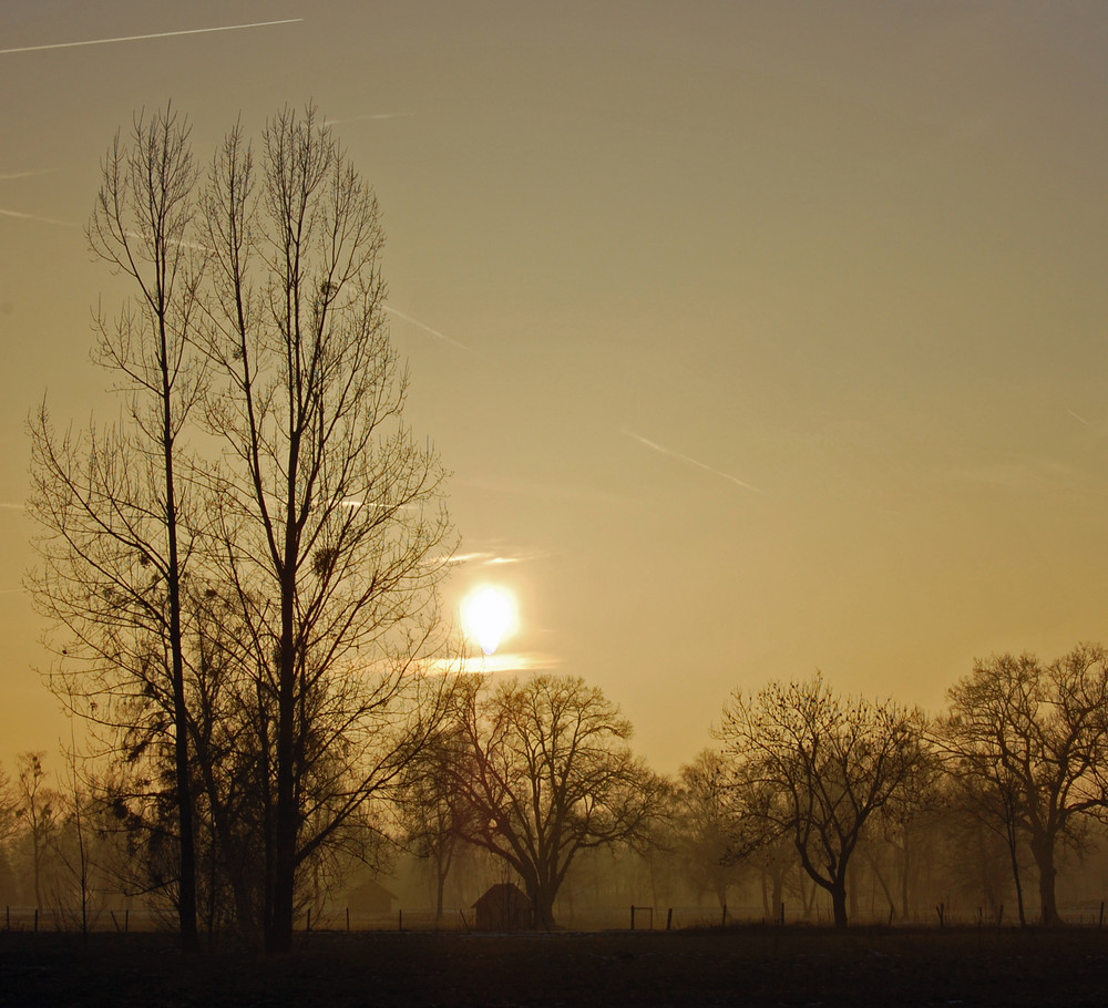 Winterabend im Ried