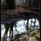 Winterabend im Rotbachtal