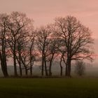 Winterabend im Schloßpark 