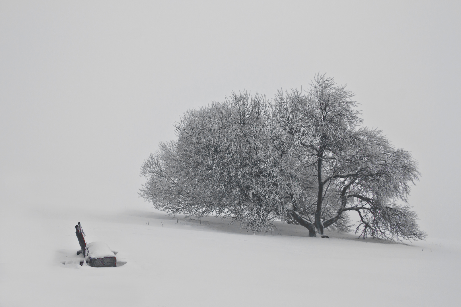 Winterabend im Vogelsberg