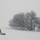 Winterabend im Vogelsberg