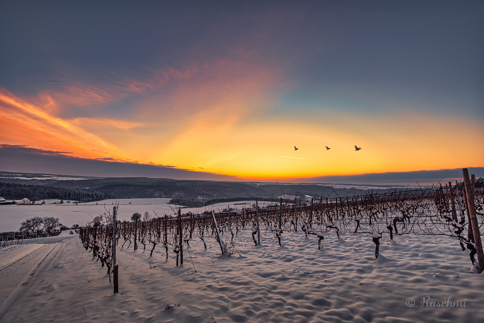 WINTERABEND im WEINBERG