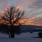 Winterabend in Balve-Eisborn