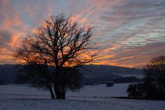 Winterabend in Balve-Eisborn