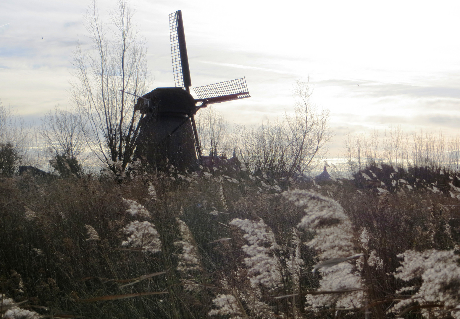 Winterabend in den Poldern der Buitenspaarne mit Mühle