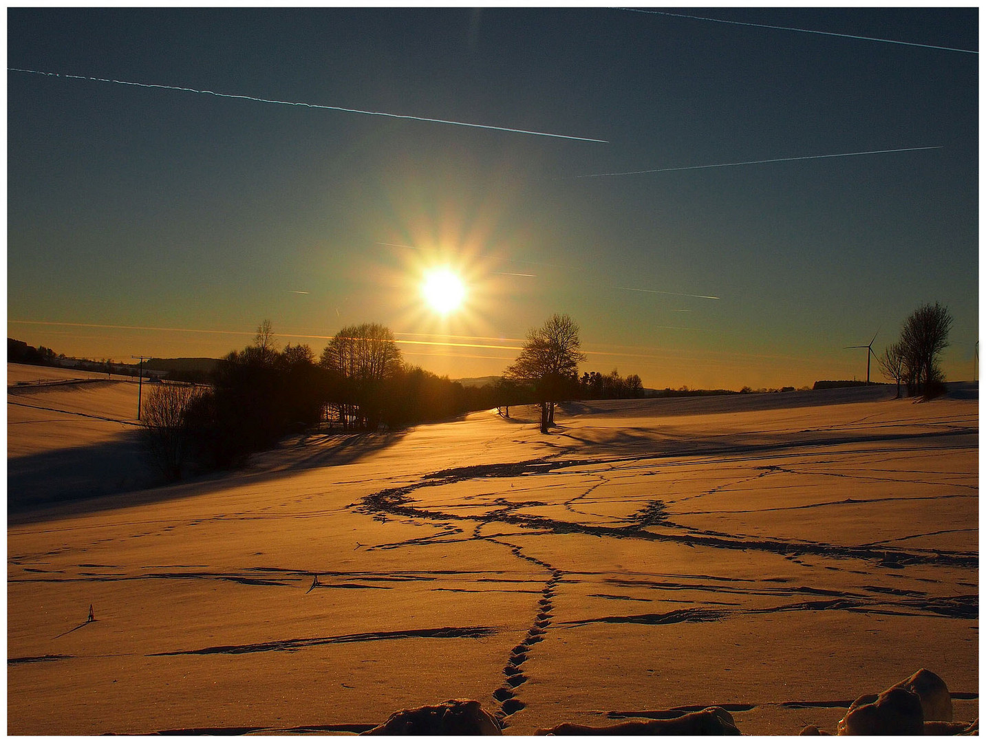 Winterabend in der Großen Au