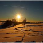 Winterabend in der Großen Au