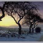 Winterabend in der Schorfheide