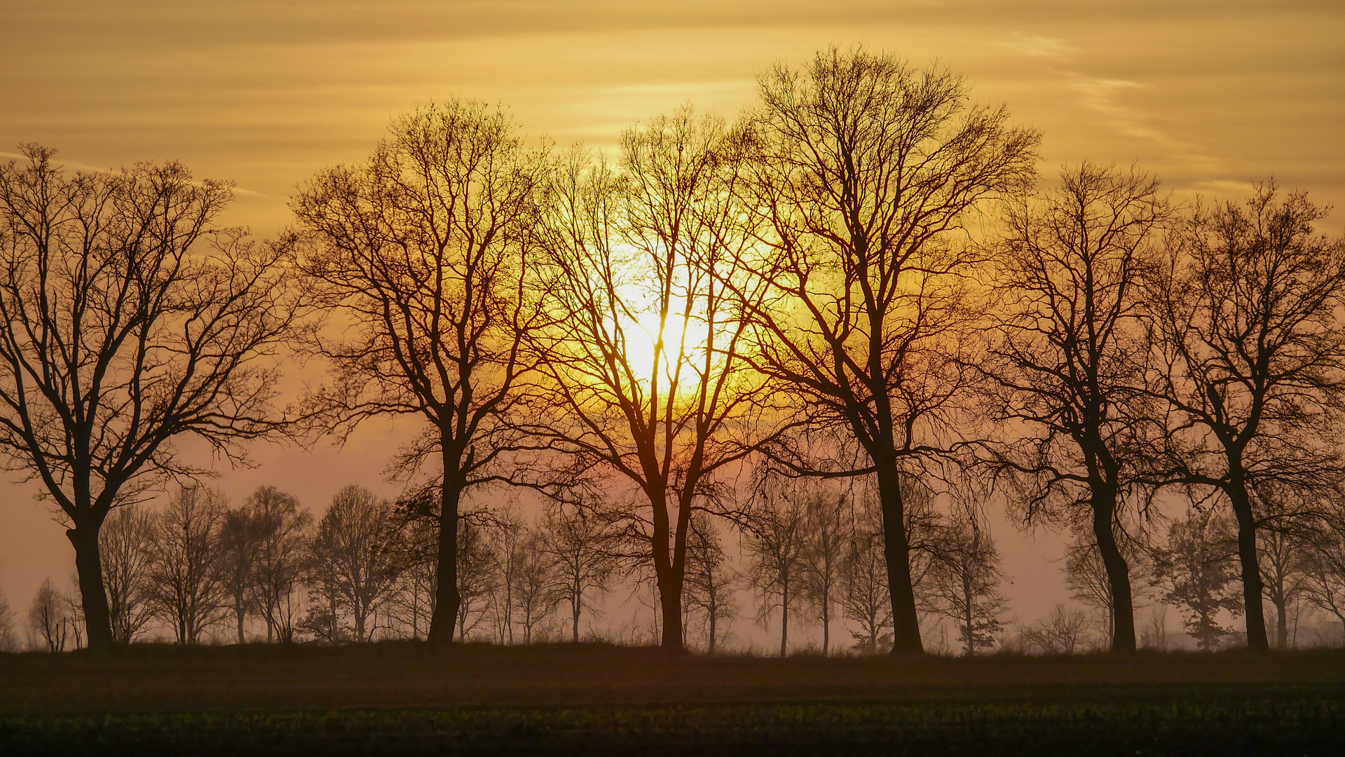 Winterabend in der Südheide. 