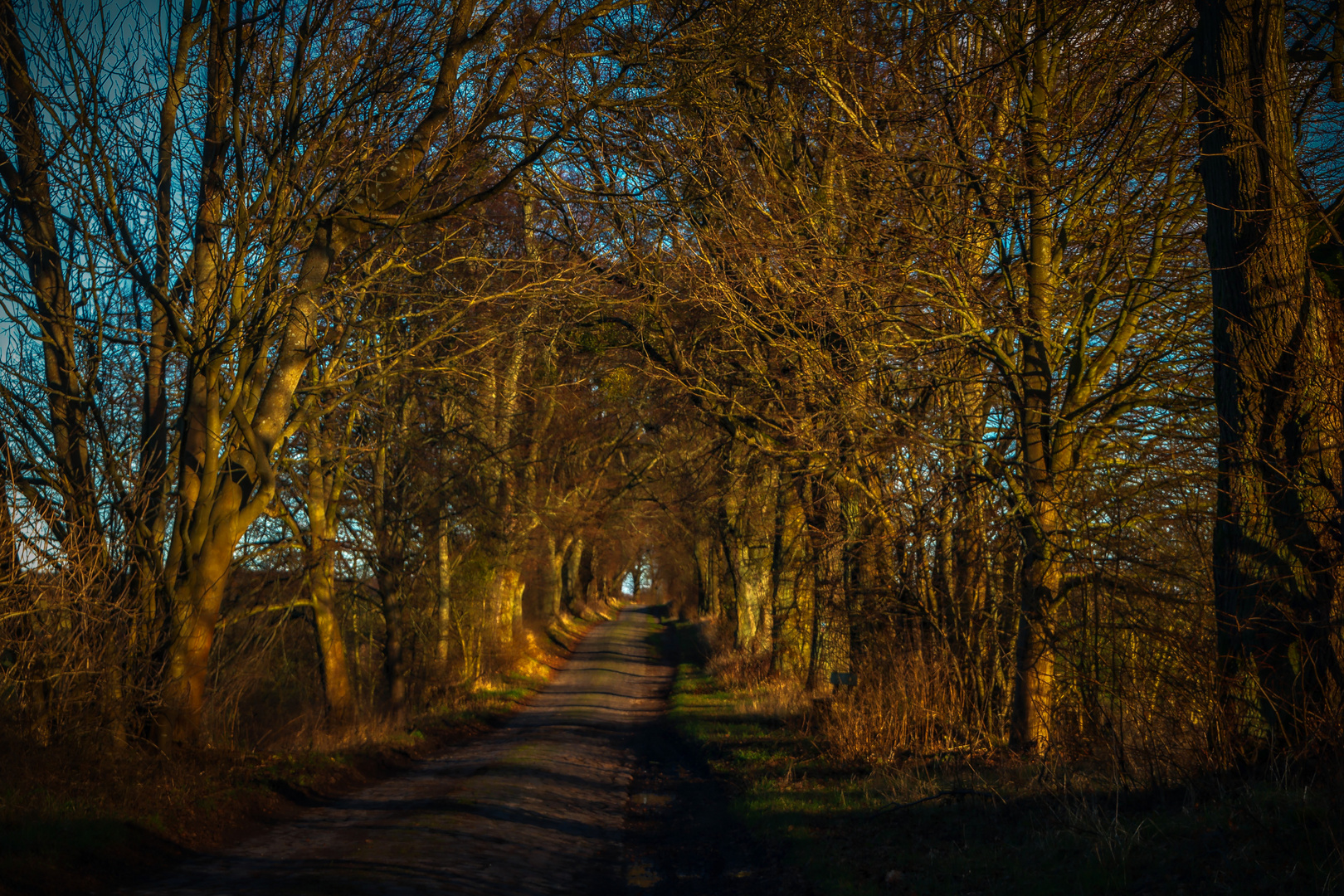 Winterabend in der Uckermark