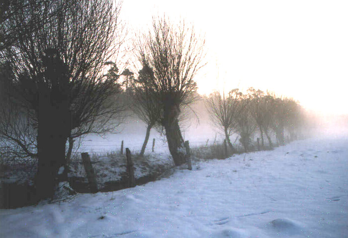 Winterabend in der Wesermarsch