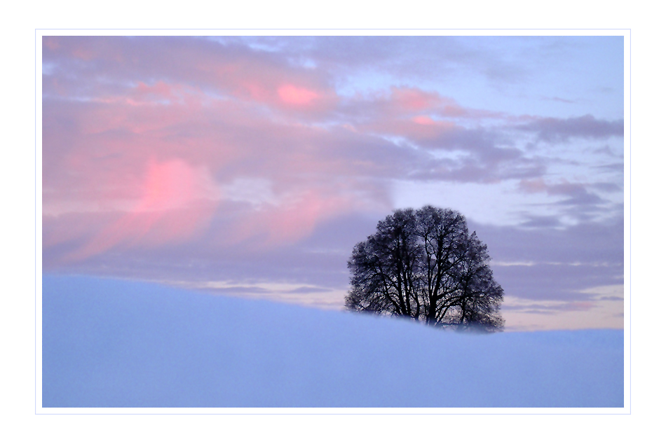 Winterabend in rosa und violett