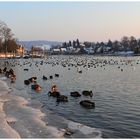 Winterabend in Stein am Rhein