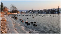 Winterabend in Stein am Rhein