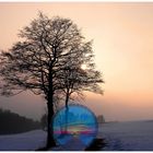 Winterabend-Mandala