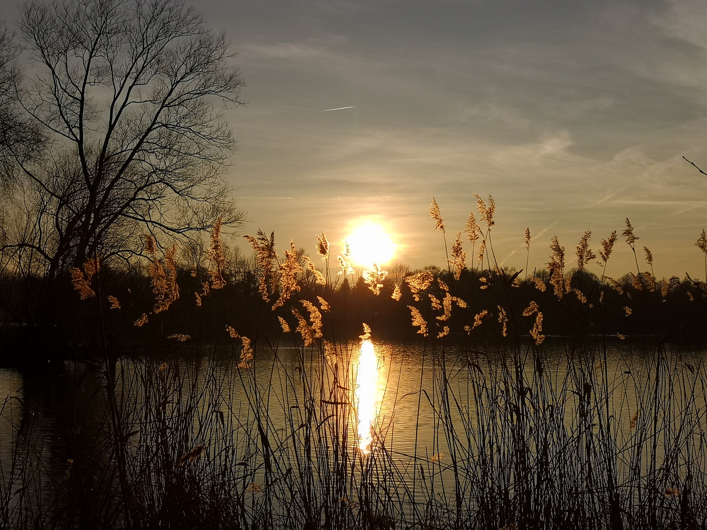 Winterabend mit Schilfkerzen