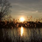 Winterabend mit Schilfkerzen