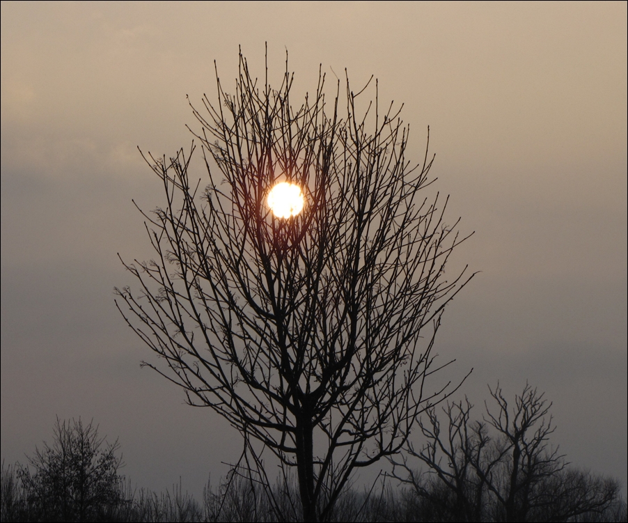 ~Winterabend-Stimmung~