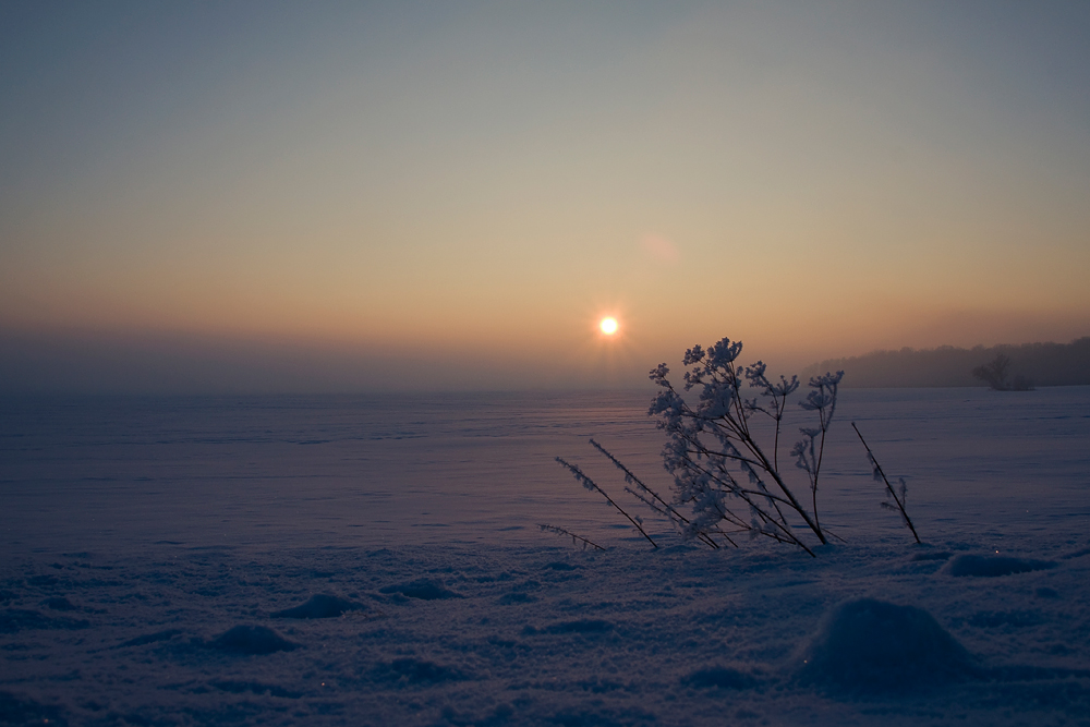 Winterabend über dem Feld