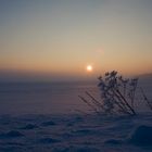 Winterabend über dem Feld