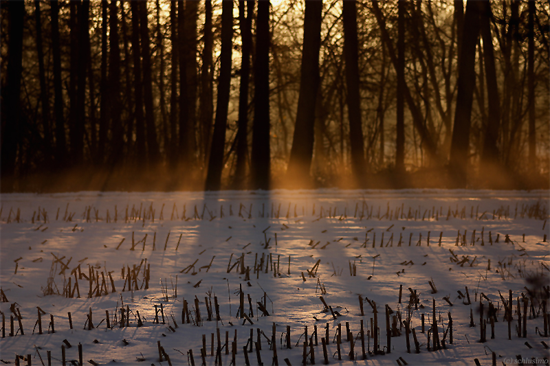 Winterabend über'm Acker