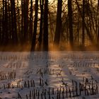 Winterabend über'm Acker