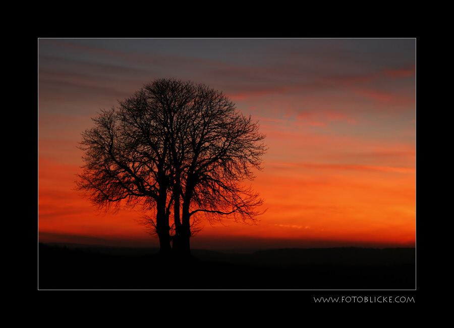 Winterabendbunt