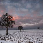 Winterabenddämmerung