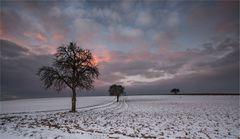 Winterabenddämmerung