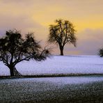 Winterabend,der letzte Schnee