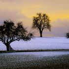 Winterabend,der letzte Schnee