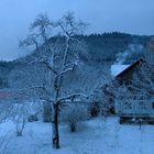 WINTERABENDFARBEN