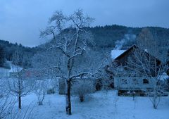 WINTERABENDFARBEN