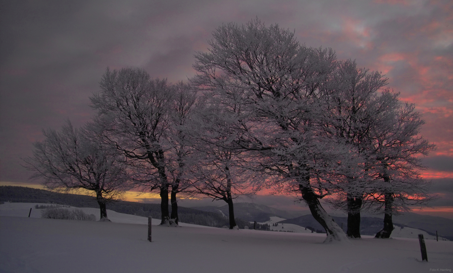 Winterabendlicht