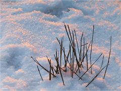 Winterabendlicht