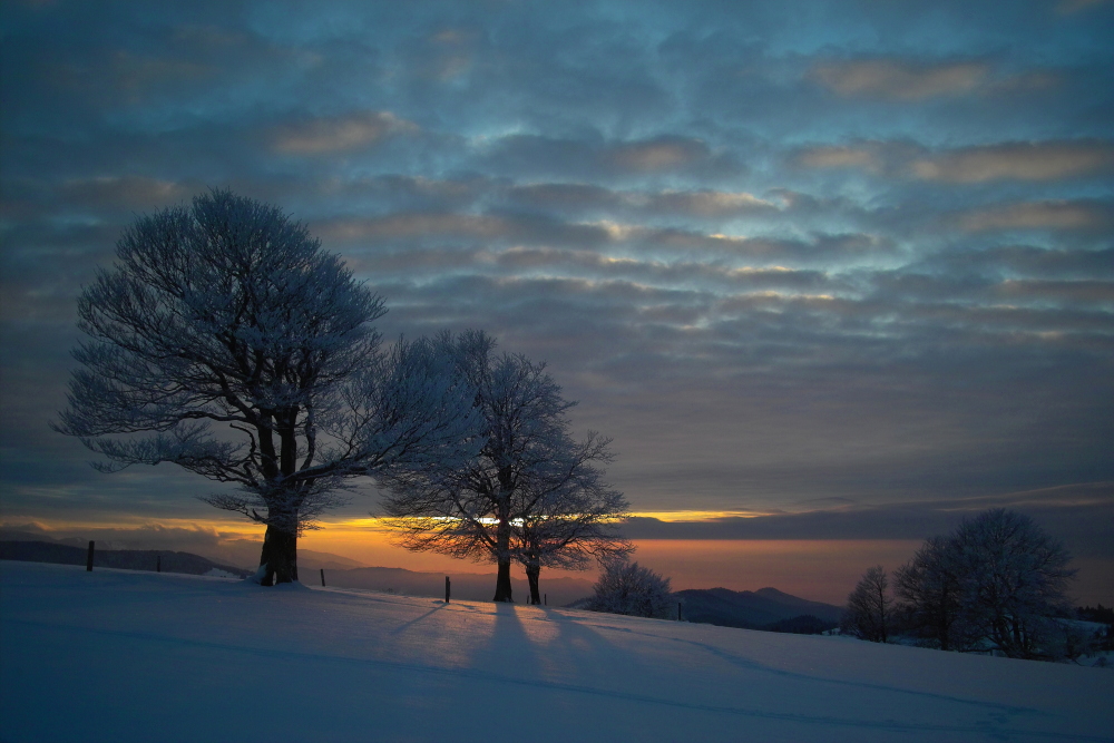 Winterabendlicht