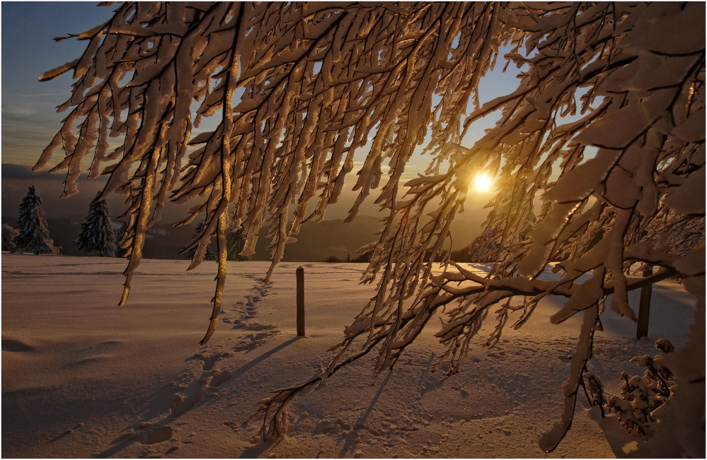 Winterabendlicht by Karl Herrling 