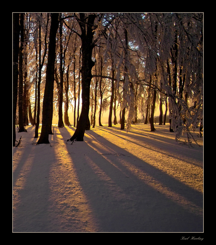 Winterabendlicht