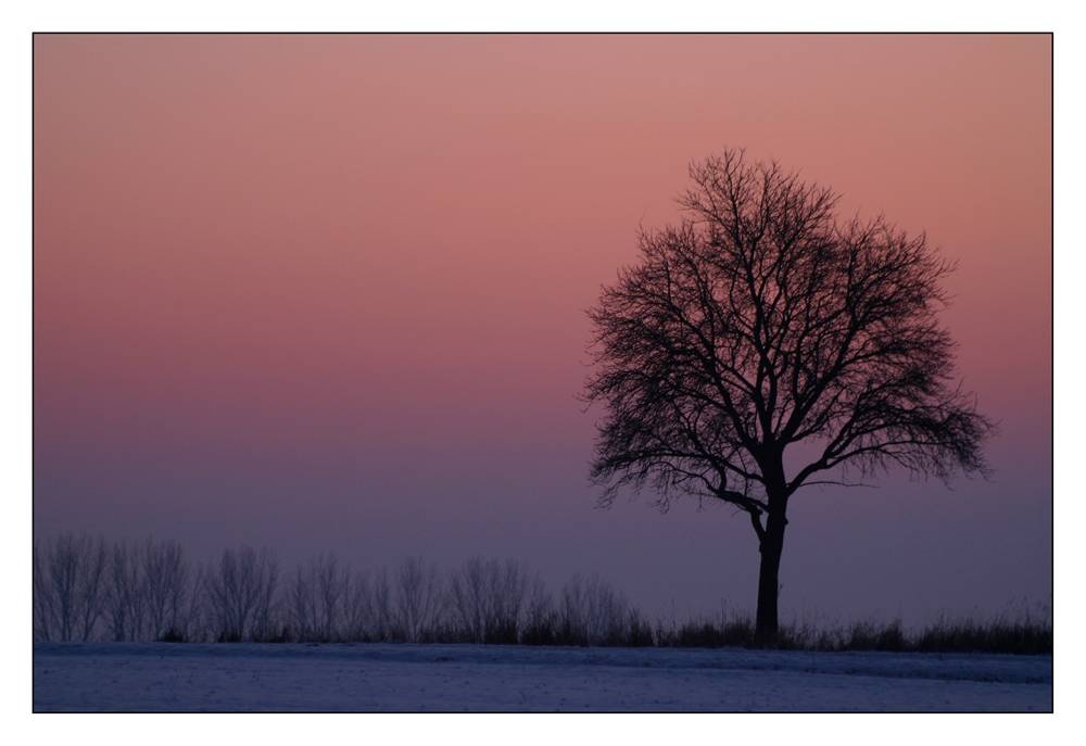 Winterabendlicht