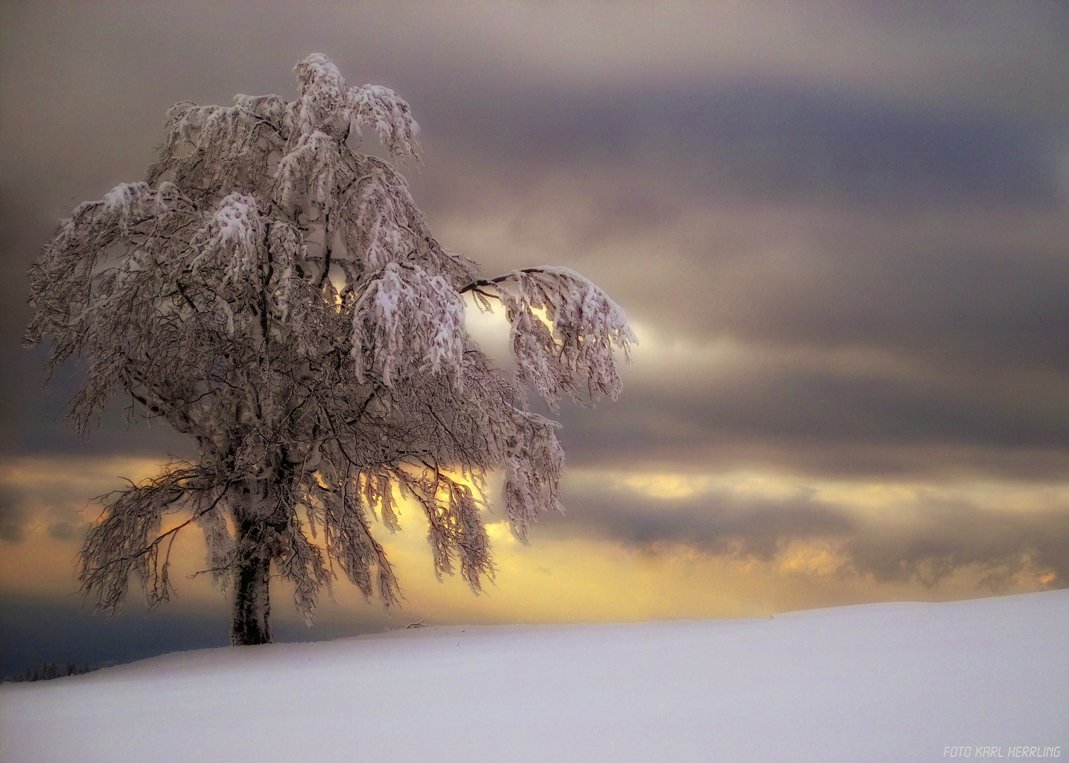 Winterabendlichtstimmung